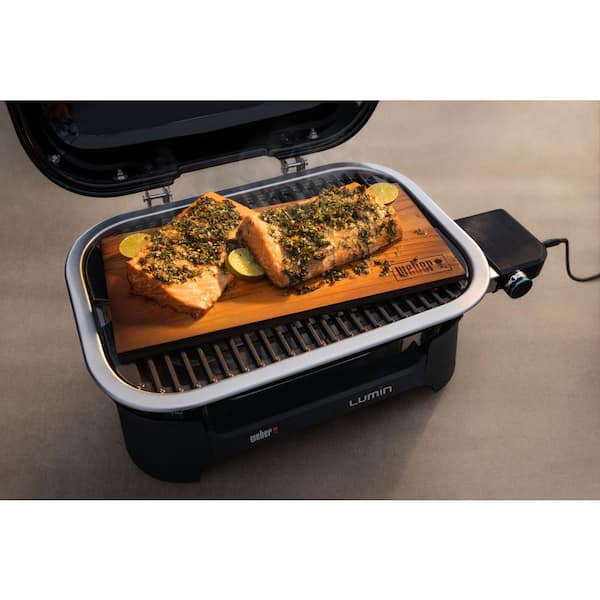 New Outdoor Electric Grills  Ocean Blue Lumin Electric Grill