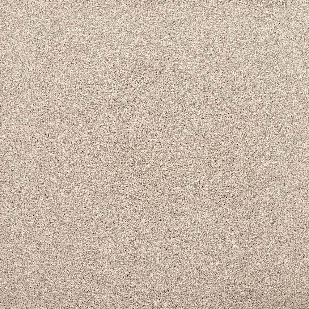 8 in. x 8 in. Texture Carpet Sample - Hainsridge -Color Truffle price history on PriceWatchPro