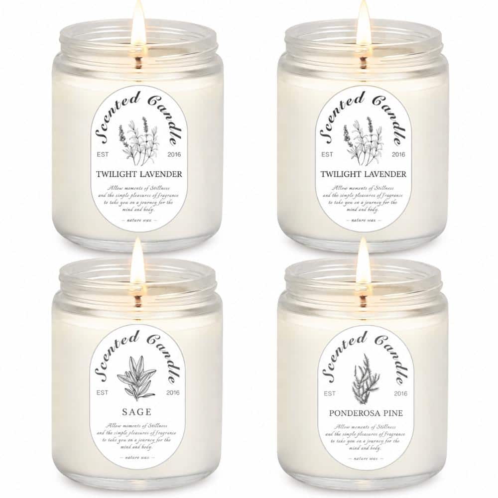 4-Pack Soy Wax Aromatherapy Candle Gift Set, Lavender Sage Ponderosa Pine, Up to 40-45 Hour Burn Each, Glass Jars price history on PriceWatchPro