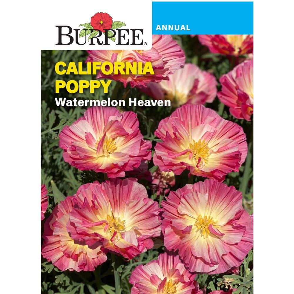 Burpee Poppy, Watermelon Heaven Flower Seed 38138 - The Home Depot
