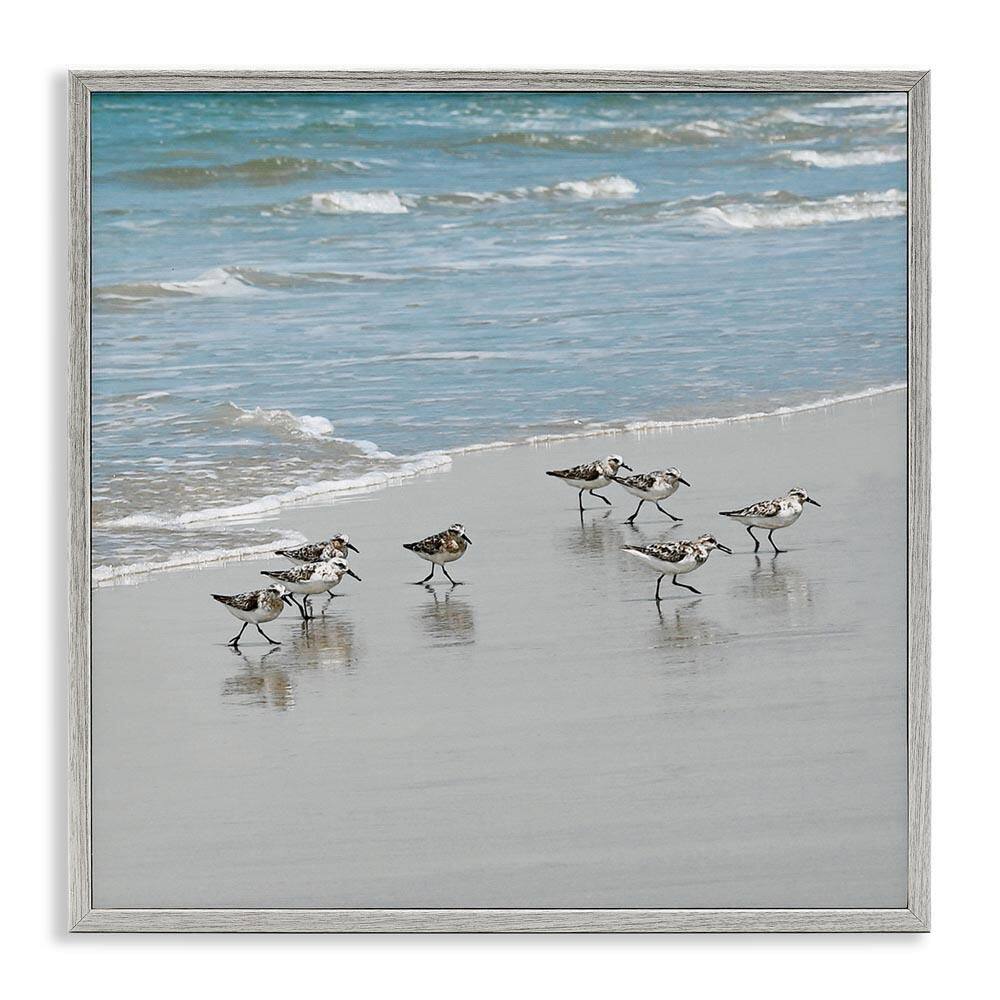 Sandpipers Flock Sandy Beach Shore by Natalie Carpentieri Gray Framed Giclee Art Print Coastal 12 in. x 12 in. price history on PriceWatchPro