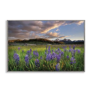 Lavender Bloom Meadows by Alan Majchrowicz Gray Framed Nature Giclee Art Print 12 in. x 18 in.
