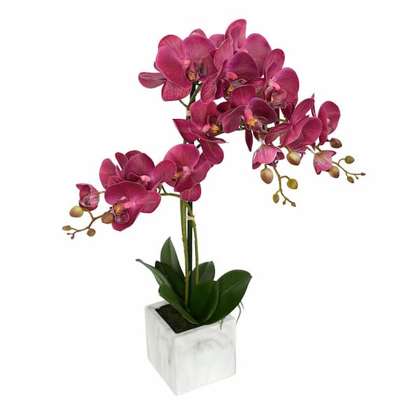 Vickerman 25 in. Plum Artificial Phalaenopsis Orchid Floral Arrangements In Stone Pot