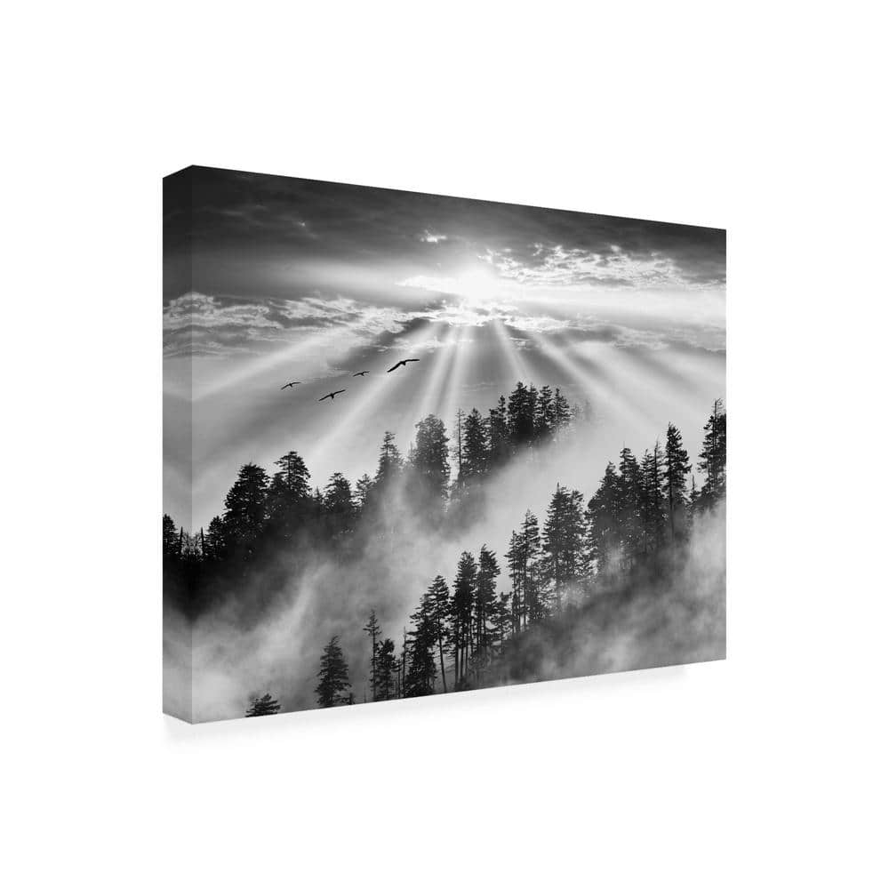Black and White Smoky Mountain Sunrise Canvas Print, 24'' x 32''
