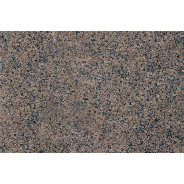 MSI Tropic Brown 18 in. x 31 in. Polished Granite Floor and Wall Tile (7.75 sq. ft./Case)