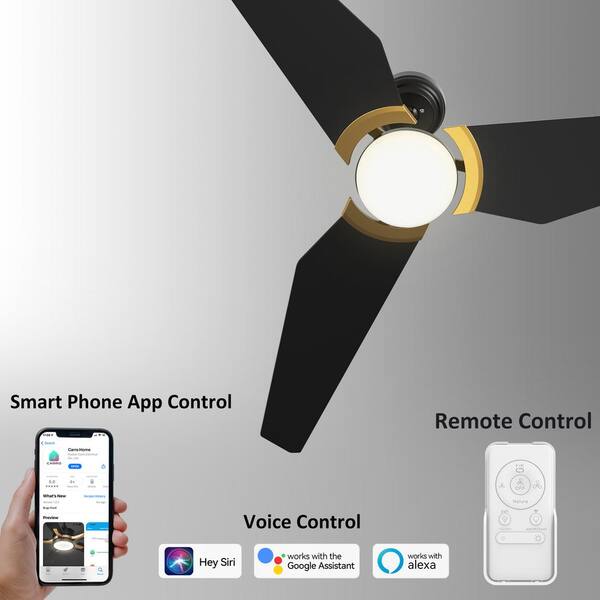 Can I Put A Ceiling Fan In Mobile Home Shelly Lighting