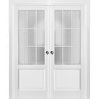 Sartodoors 2166 72 in. x 96 in. Full Lite Clear Glass Matte White ...