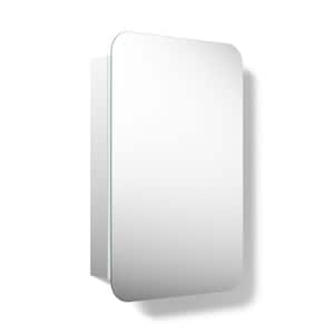 Embark 20 in. W x 31 in. H Rectangular Rounded Recessed/Surface Mount Medicine Cabinet with Mirror