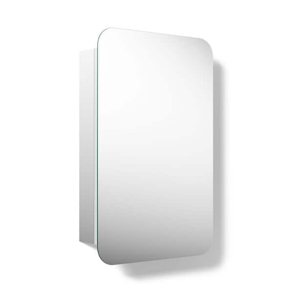 Embark 20 in. W x 31 in. H Rectangular Rounded Recessed/Surface Mount Medicine Cabinet with Mirror