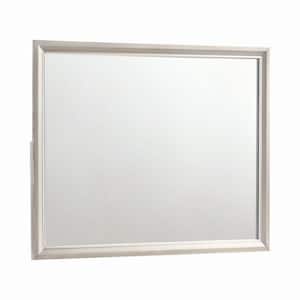 45.5 in. W x 35.5 in. H Metallic Silver Classic Wood Rectangular Framed Mirror with Beveled Edge and Landscape