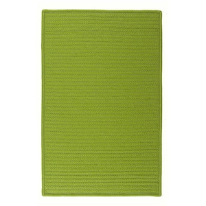 Solid Bright Green 4 ft. x 4 ft. Braided Indoor/Outdoor Patio Area Rug