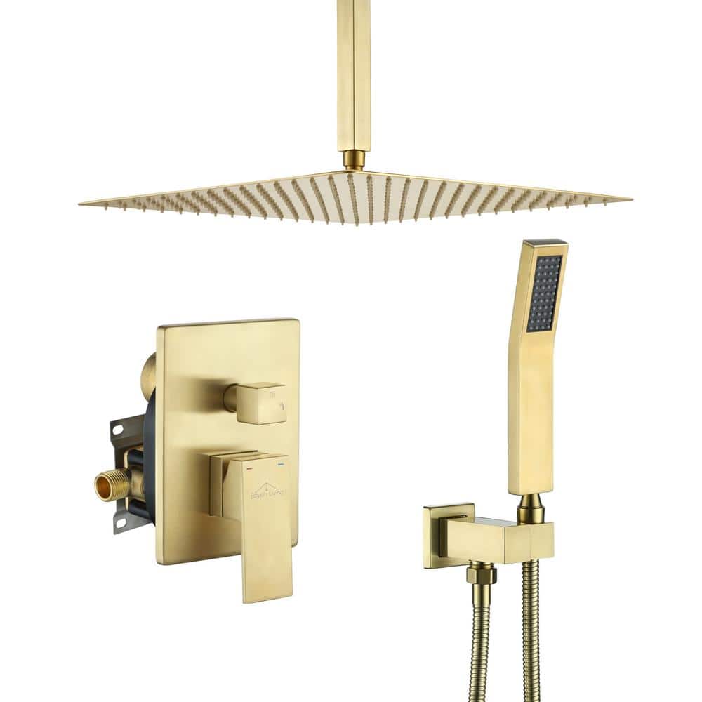 1-Spray Patterns with 2.5 GPM 16 in. Ceiling Mount Dual Shower Heads with P