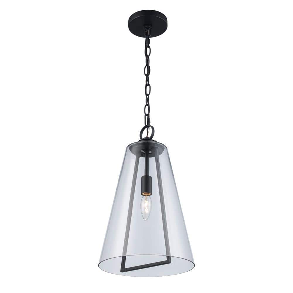 Siobhan Medium Black Metal and Clear Glass Hanging Pendant Light