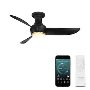 Corona 44 in. Smart Indoor/Outdoor 3-Blade Flush Mount Ceiling Fan in Matte Black Satin Brass Trim 3000K LED and Remote