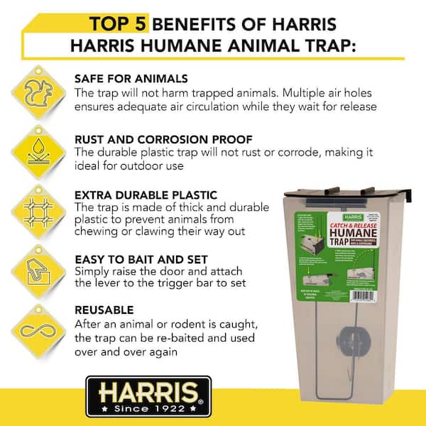 Harris Catch and Release Humane Squirrel and Rodent Trap RT-LIVE - The Home  Depot