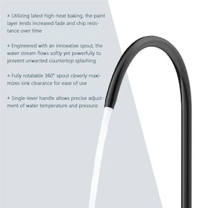 Single Handle Single Hole Bathroom Water Filter Standard Kitchen Faucet in Black