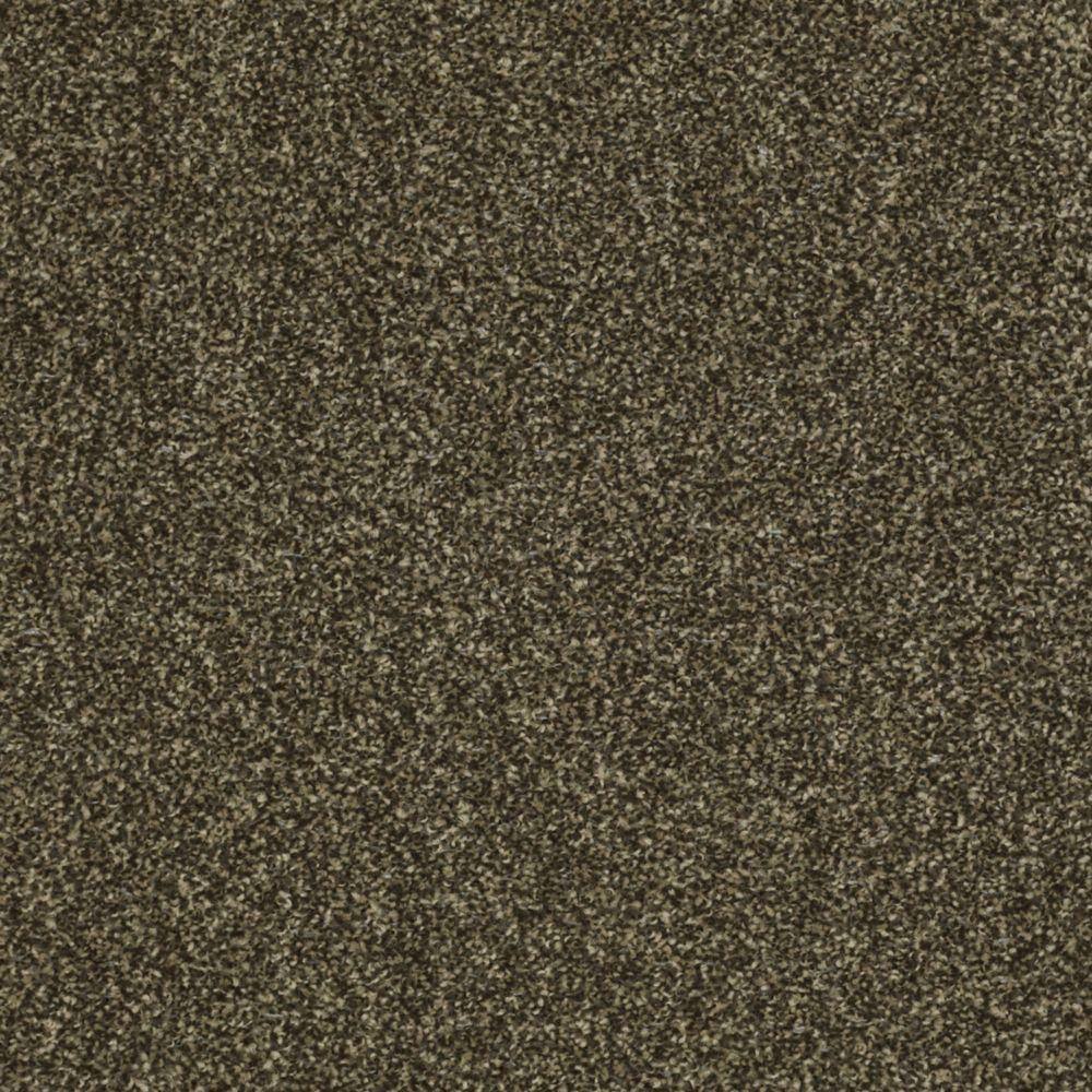 TrafficMaster Jackpot - Color Truffle 12 ft. Carpet HDD1717701 - The ...