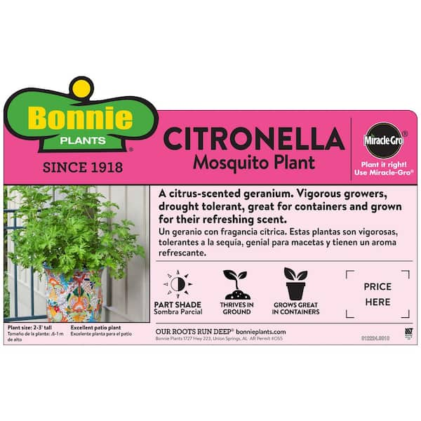 Bonnie Plants 2 32 Qt Citronella Mosquito Premium 5028 The Home Depot