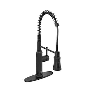 Single-Handle Spring Pull Down Sprayer Kitchen Faucet with Infrared Induction Function and Deckplate in Matte Black