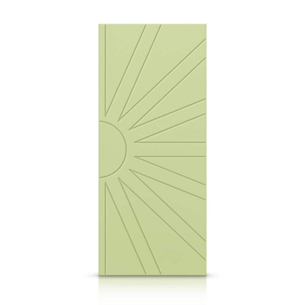 24 in. x 80 in. Hollow Core Sage Green Stained Composite MDF Interior Door Slab price history on PriceWatchPro