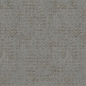 Elegant Dosinia - Academy - Gray 48.8 oz. Nylon Pattern Installed Carpet