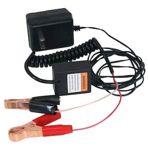 Buffalo Tools - Car Battery Chargers - Battery Charging Systems - The Home  Depot