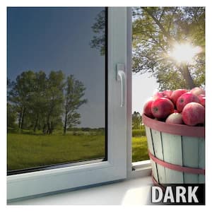 48 in. x 50 ft. EXS15 Exterior Daytime Privacy and Sun Control Silver 15 (Dark) Window Film