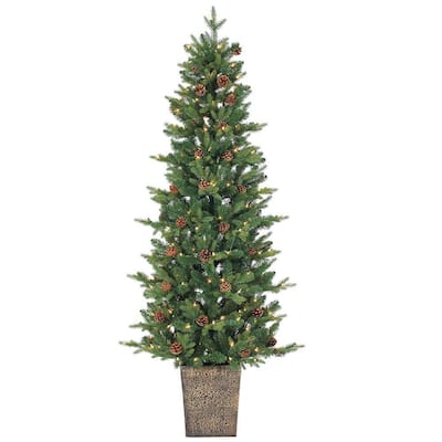 Potted - Christmas Trees - Christmas Decorations - The Home Depot