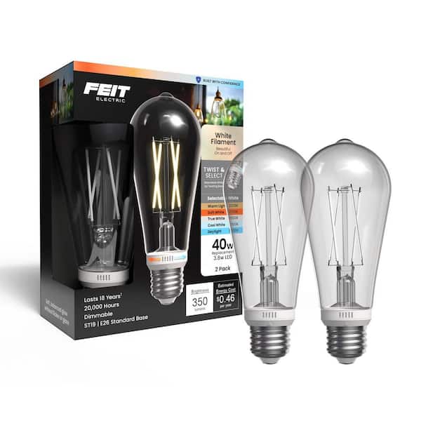 40-Watt Equivalent ST19 Dimmable White Filament E26 Opal Straight Tapered Twist Select LED Light Bulb 5CCT (2-Pack)