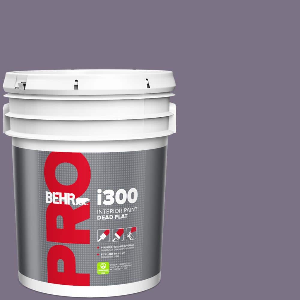 5 gal. #660F-6 Peruvian Violet Dead Flat Interior Paint price history on PriceWatchPro