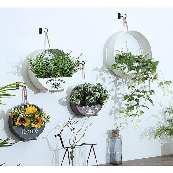 EVEAGE 2.5 in. Black Metal Wall Mount Hangers Plant Hooks (2-Pack)  B0B53T1XMT/YCQ - The Home Depot