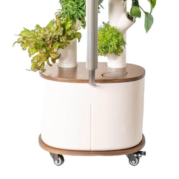 Dolly for Studio, Rolling Cart to Move Your Hydroponics Indoor Growing System, Ridged Bamboo Board Holds Garden Secure