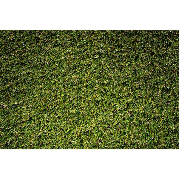 Lifeproof with Petproof Technology - Premium Pet Turf 12 ft. Wide x Cut to Length Green Artificial Grass Turf