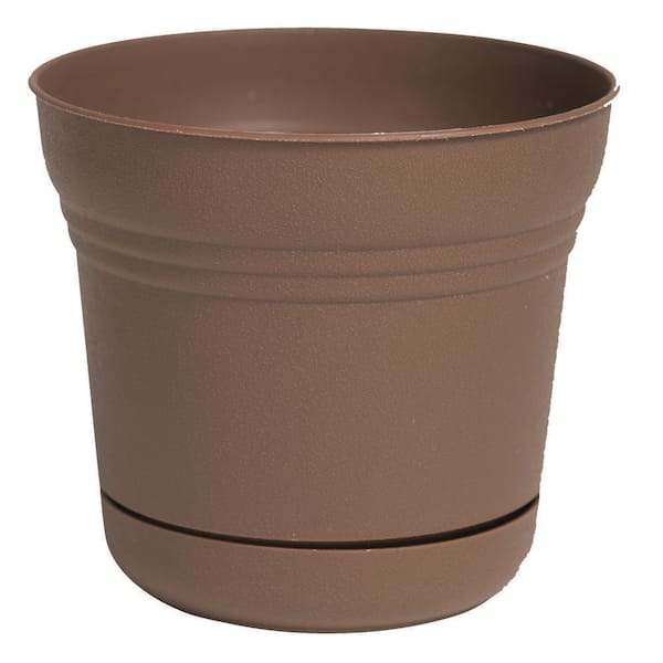 Vigoro 12 in. Anne Chocolate Brown Plastic Planter (12 in. x 11 in.) with Drainage Hole and Attached Saucer