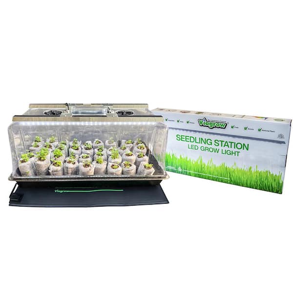 Buy Seedling Station Kit with LED Grow Light, Propagation Dome