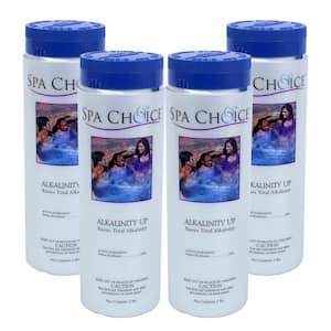 Spa and Hot Tub 2 lb. Alkalinity Up (4-Pack)