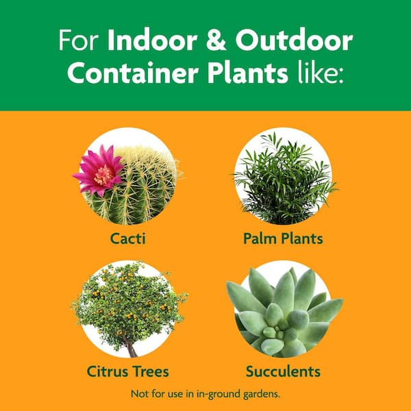 Miracle-Gro Cactus, Palm & Citrus Potting Mix 2-Pack
