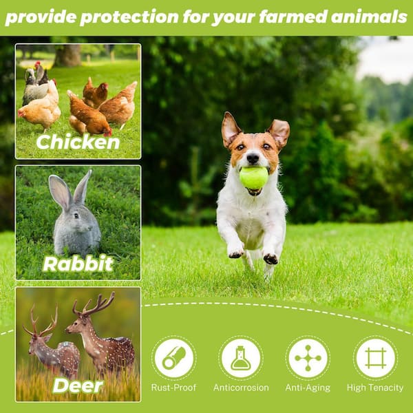 36 in. x 50 ft. 16-Gauge Black PVC Coated Precision Welding Metal Poultry Fencing