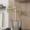 GIVING TREE Wall Mount Pot Filler Faucet Double-Handle in Brushed Gold XLHDDOTU0013