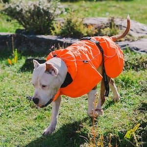 Size 2XL Orange Cool sytle Dog Jackets