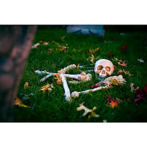 12-Piece Bag of Halloween Bones