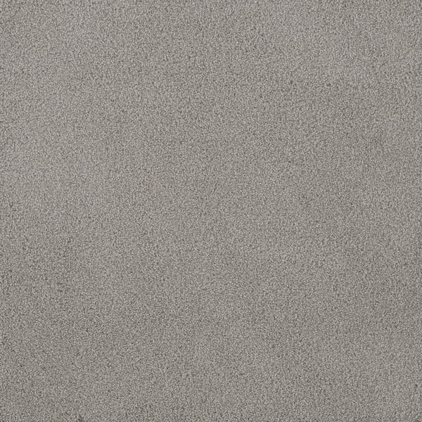First Class I - Barefoot - Beige 32 oz. SD Polyester Texture Installed Carpet