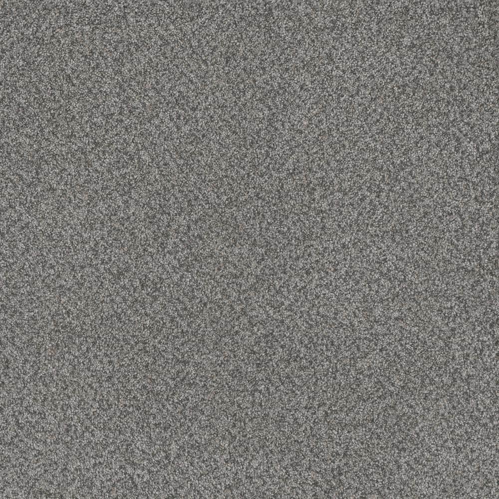 8 in. x 8 in. Texture Carpet Sample - Serene Glory III - Color Calm price history on PriceWatchPro