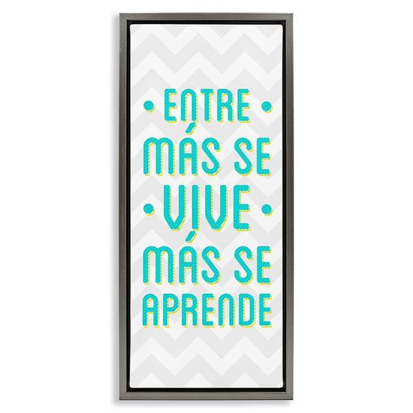 Stupell Industries You Live You Learn by SD Graphics Studio Gray Floater Frame Typography Graphic Art Print 25 in. x 11 in.