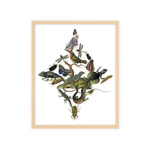 Nature Shapes 2 Framed Giclee Animal Art Print 22 in. x 18 in.