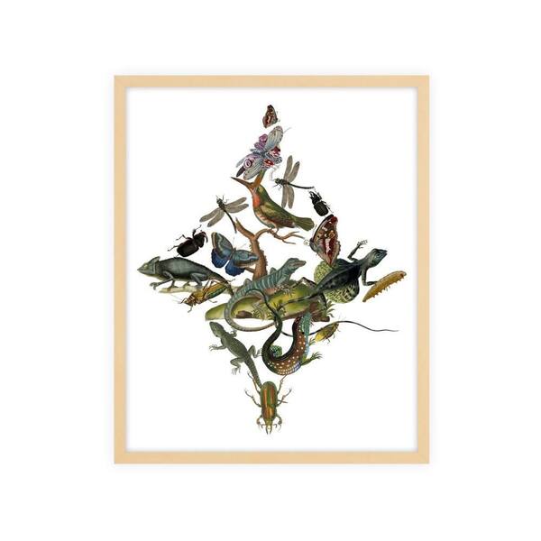 NATURE CREATIVE Nature Shapes 2 Framed Giclee Animal Art Print 22 in. x 18 in.