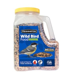 7 lbs. Wild Bird Seed Food Jug