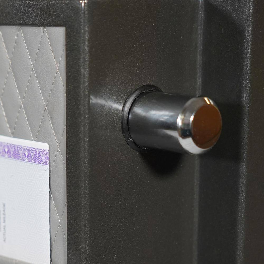 Platinum Dark Gray Biometric Fireproof Waterproof Safe, 1.07 Cu. Ft.