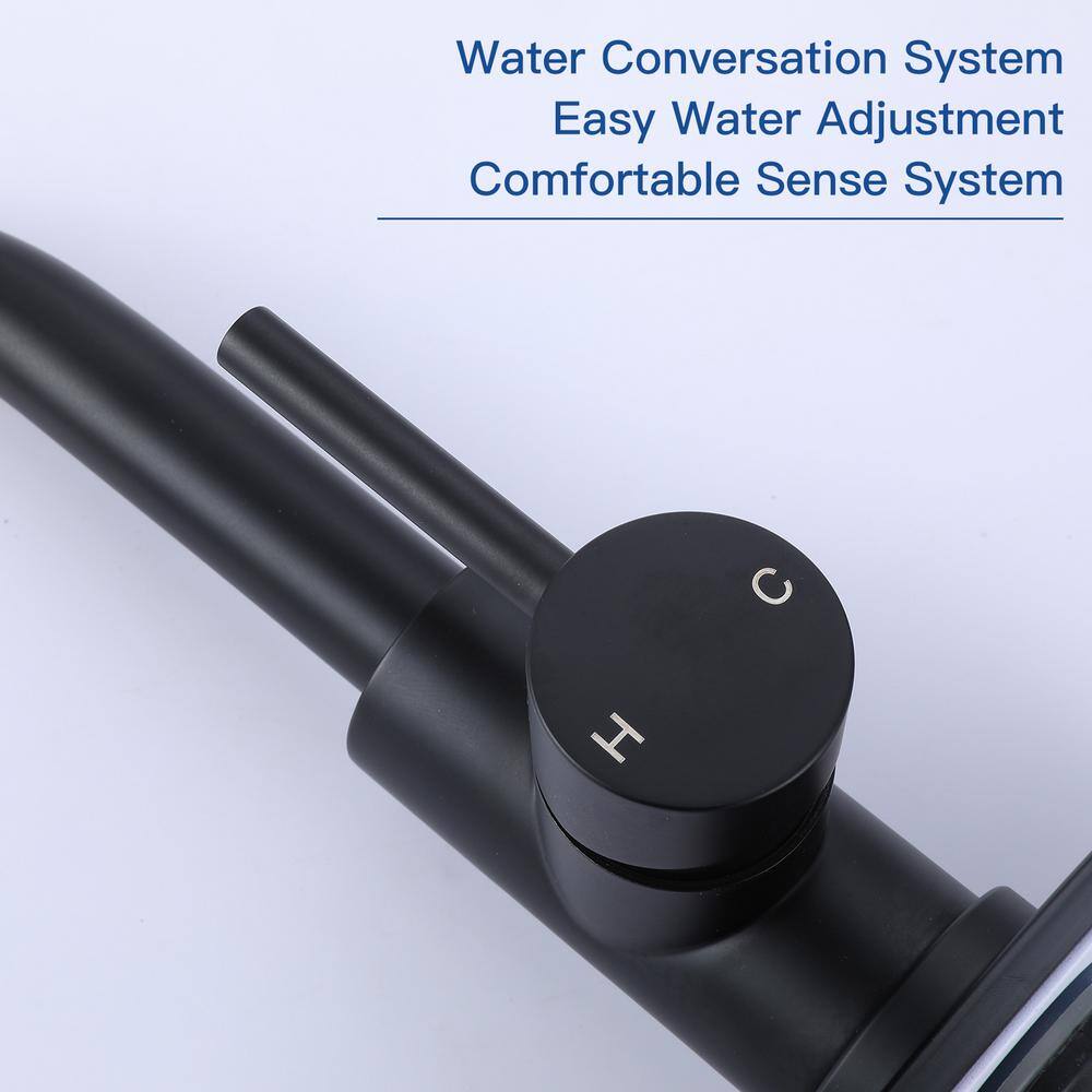 Matte Black Single-Handle Bathroom Faucet with Swivel Spout