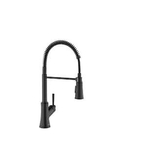 Joleena Single Handle Pull Down Sprayer Kitchen Faucet with Quick Clean in Matte Black